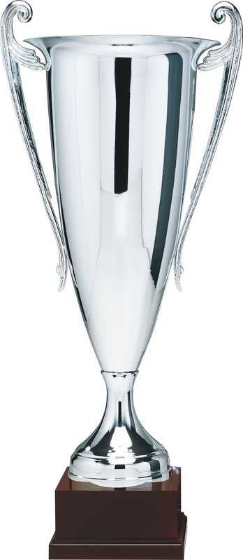 Ex Large Silver finish Cup timber base
