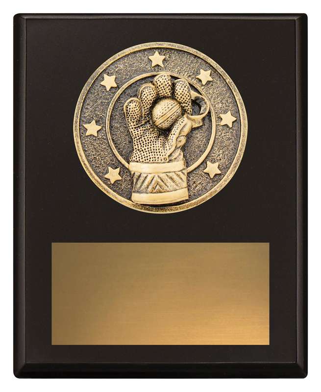 Challenge Plaque – Wicketkeeping