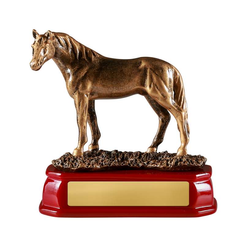Horse Standing
