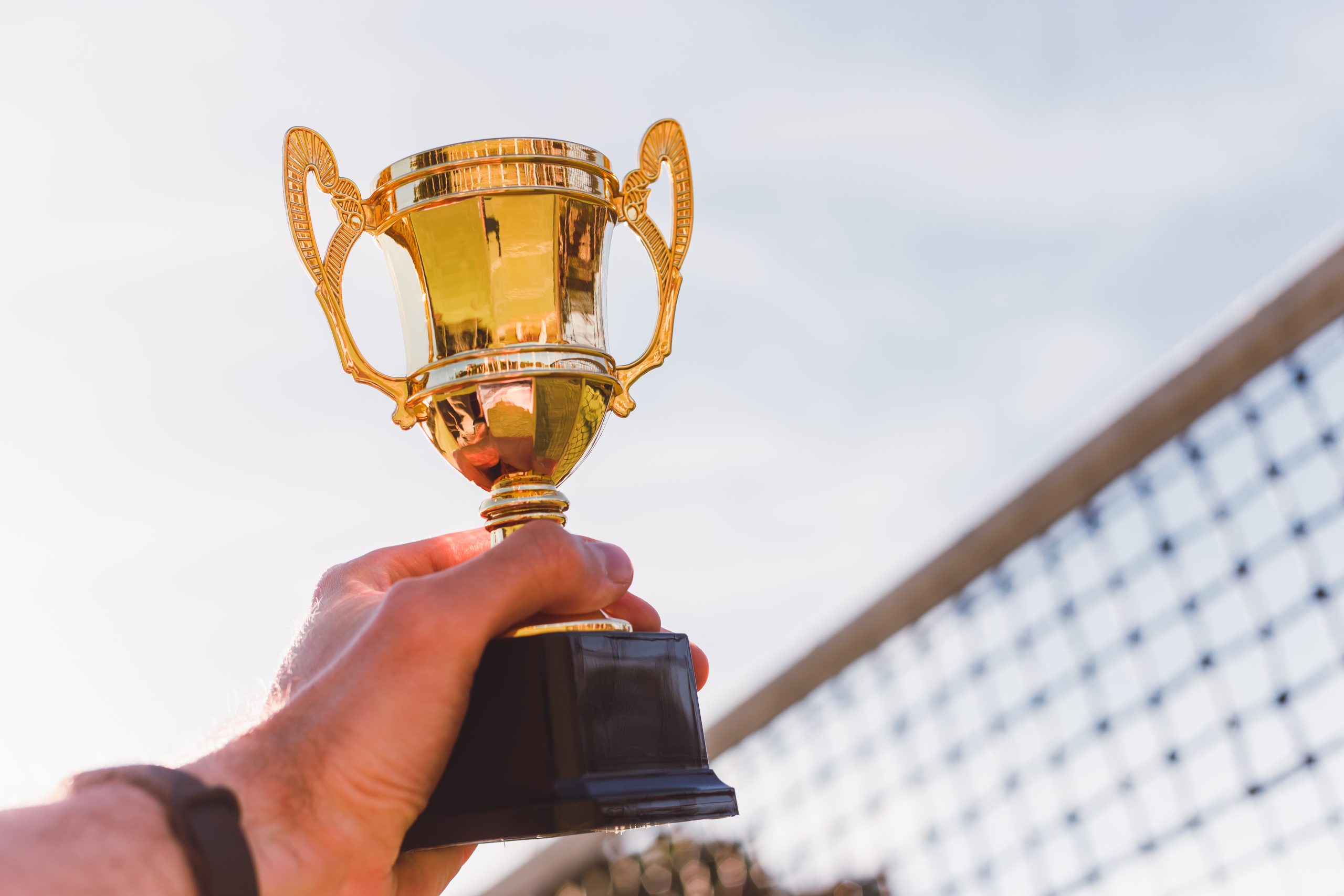 Celebrate Your Volleyball Achievements with Affordable Trophies