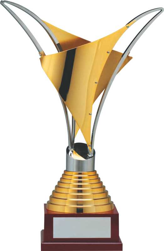 Elevate Your Achievements with Prestige Cups
