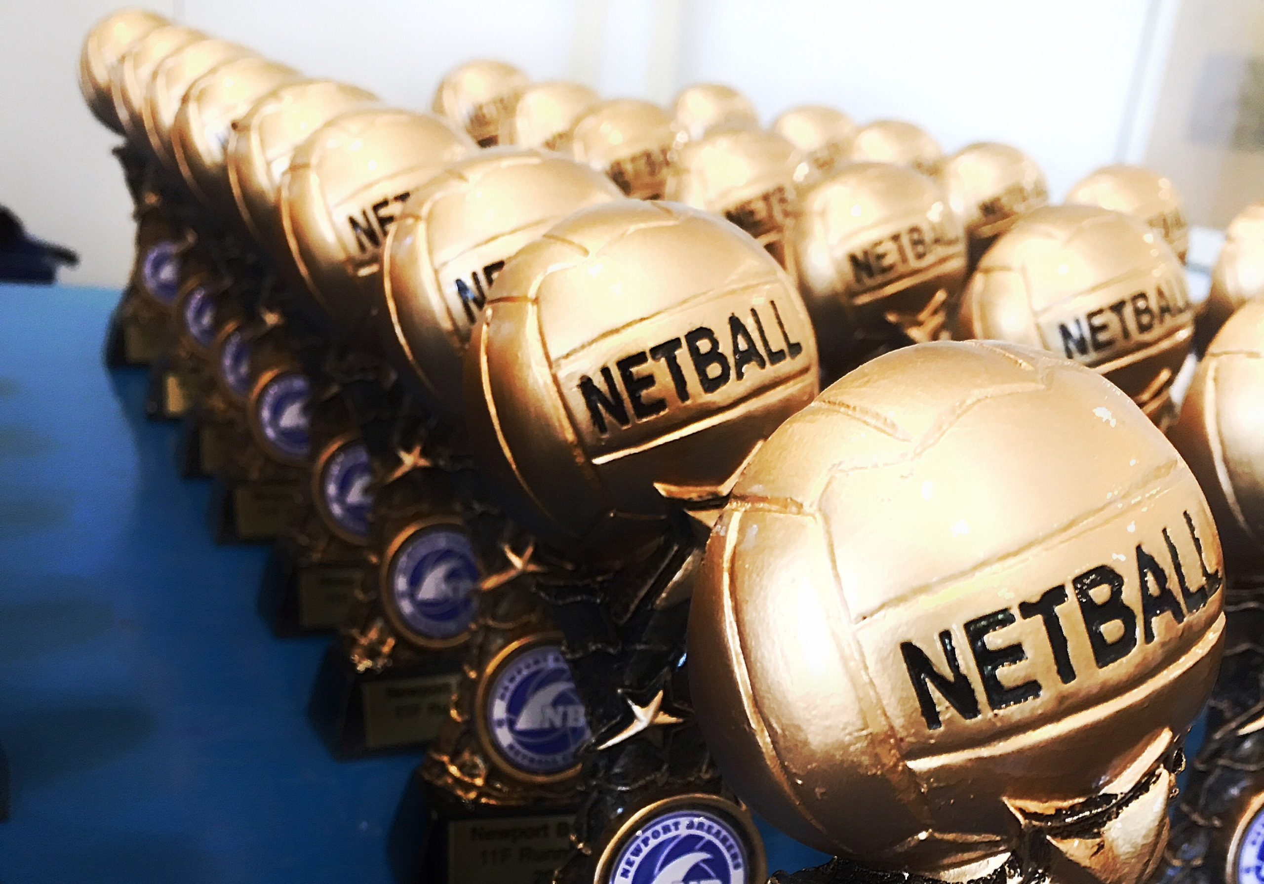 Score Big with Our Affordable Custom Netball Trophies