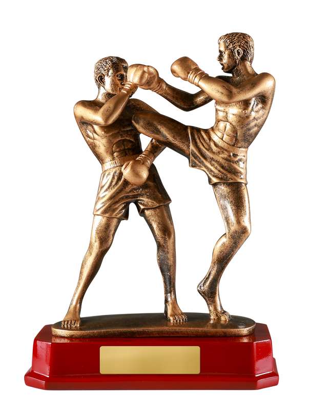 Double Kick Boxing